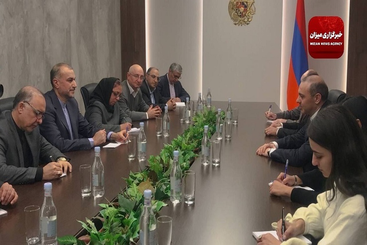 وزیر امور خارجه با دبیر شورای امنیت ملی ارمنستان دیدار کرد