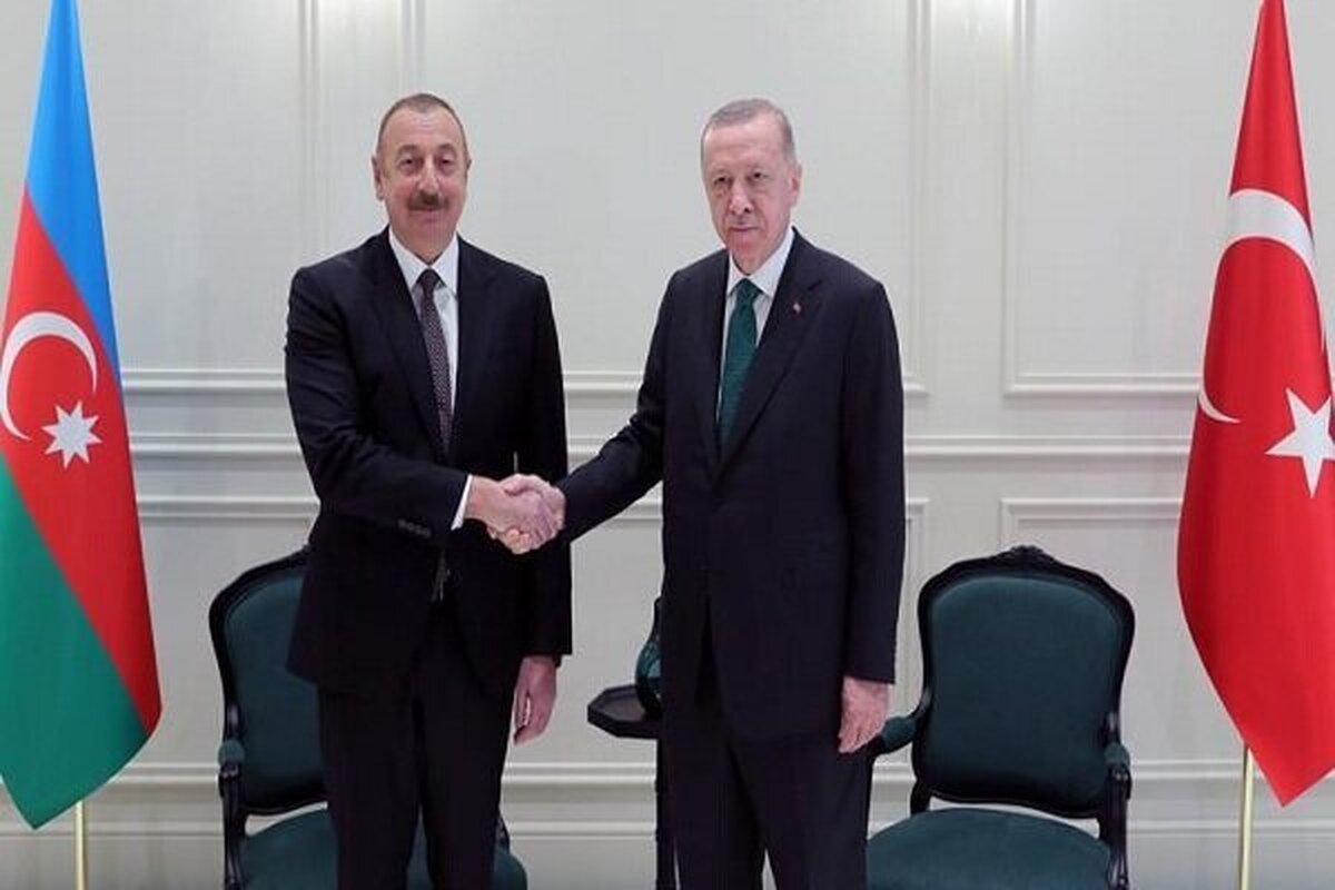 دیدار رؤسای جمهور ترکیه و جمهوری آذربایجان در استانبول
 