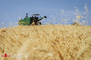 رشد ۲۳ درصدی صادرات محصولات غذایی و کشاورزی