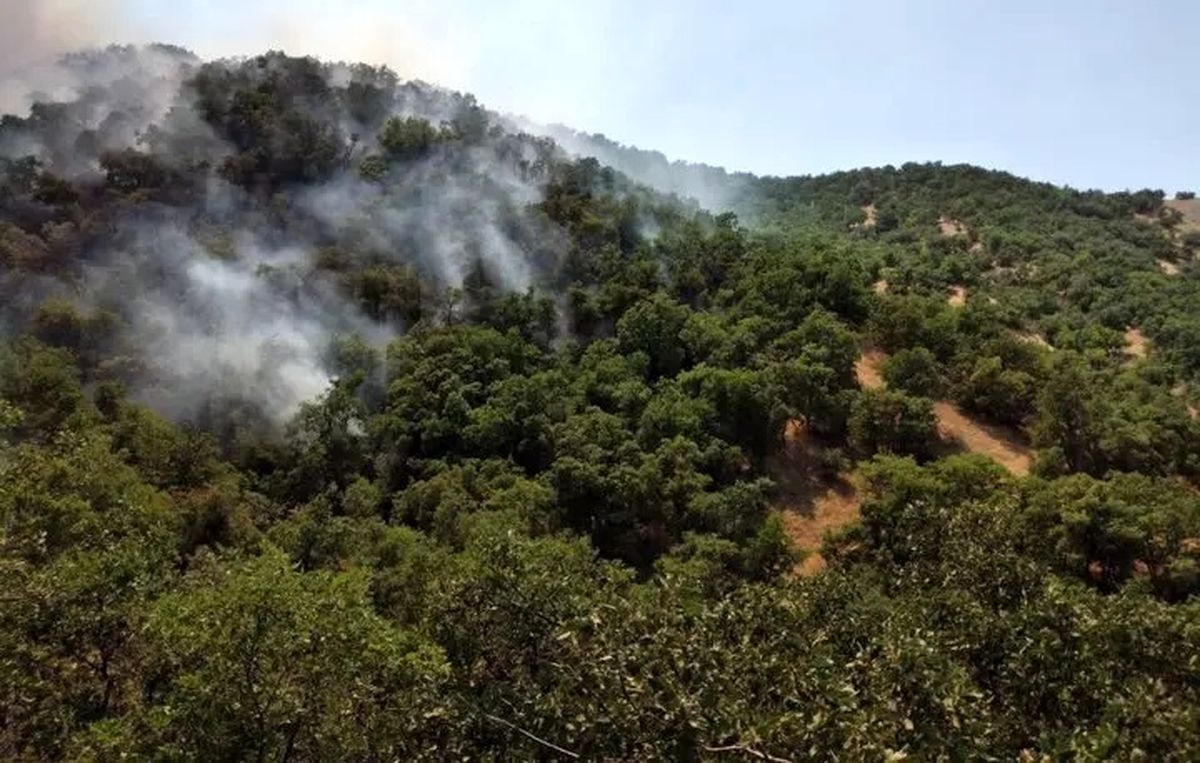 شماری مصدوم بر اثر آتش‌سوزی در جنگل‌های مریوان
