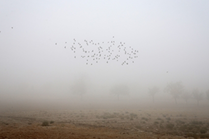 مه غلیظ صبحگاهی در همدان