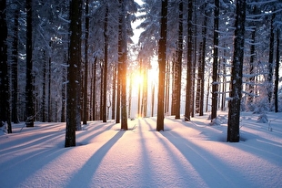 زمین گرم‌ترین زمستان تاریخ را تجربه می‌کند