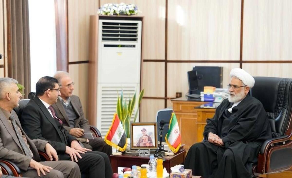 دیدار رئیس دیوان عالی کشور با رئیس سازمان نظارت قضایی عراق/ تأکید بر تسریع در رسیدگی قضایی پرونده شهید سلیمانی