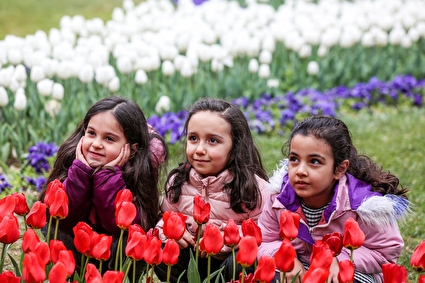 جشنواره گل‌های لاله - مشهد