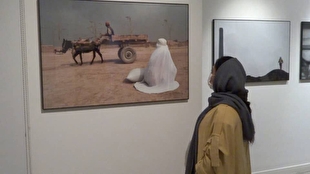 «درخت بی‌سایه»؛ روایت زندگی ۳ دختر افغانستانی